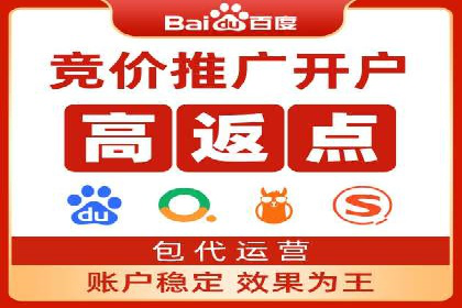 某某sem代运营公司：精准投放的背后策略